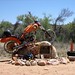 Terry Gill Photo 34