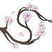 Cherry Yin Photo 14