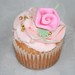 Nancy Cuppy Photo 8