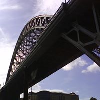 Will Davidson Photo 23