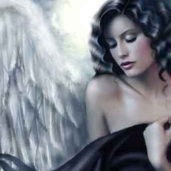 Dianne Anderson Photo 8