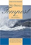 No Small Tempest (Fiction Treasures)