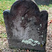 Martha Hubbard Photo 16