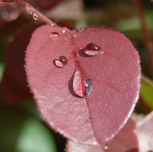 Janice Miller Photo 13