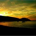Patricia Schultz Photo 31
