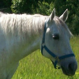 Sharon Mack Photo 9