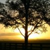 Chris Brewer Photo 2