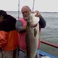 Scott Gellman Photo 9