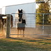 Ricky Paddock Photo 7
