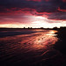 Judith Newton Photo 11