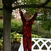 Josh Robison Photo 19