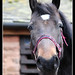 Robyn Welsh Photo 14