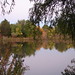 Kathryn Parks Photo 7