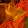 Elizabeth Almanza Photo 27