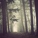 Erik Forrest Photo 10