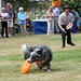 Richard Borders Photo 19