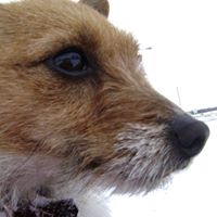 Sadie Davidson Photo 2