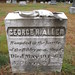 George Sanford Photo 15
