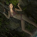 Kaye Ross Photo 20