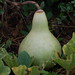 Trang Phan Photo 20