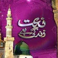 Kamran Abbasi Photo 9