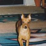 Joan Helms Photo 30