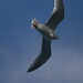 Jennifer Dougherty Photo 24