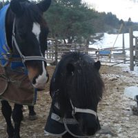 Ann Pedersen Photo 14