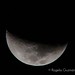 Rogelio Luna Photo 10