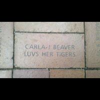 Carla Snyder Photo 26