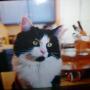 Barbara Byers Photo 3