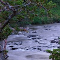 Susan Depeters Photo 3