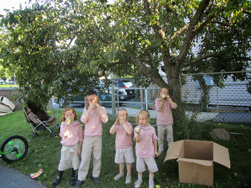 Joseph Waldman Photo 5