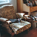 Elizabeth Juneau Photo 12