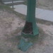 Sandra Arguello Photo 17