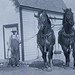 Howard Fisher Photo 14