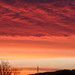 Robert Matson Photo 9