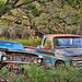 Thomas Spring Photo 23