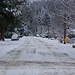 Becky Birch Photo 21
