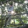 Stephen Gibbs Photo 13