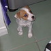 Jack Peyton Photo 9