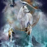 Jerry Wolf Photo 1