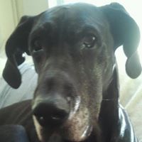 Suzanne Tufts Photo 3