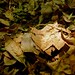 Miran Hernandez Photo 1