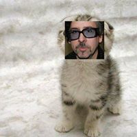 Molly Gallagher Photo 8