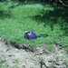 Dave Sacks Photo 10