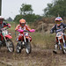 Lynn Gillett Photo 10