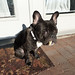 Winston Robinson Photo 16