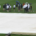 Mark Chappell Photo 30