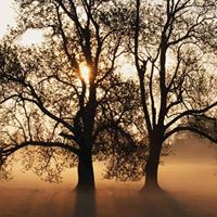 Mark Stevens Photo 22